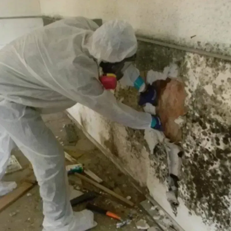 Mold Remediation and Removal in LaBarque Creek, MO