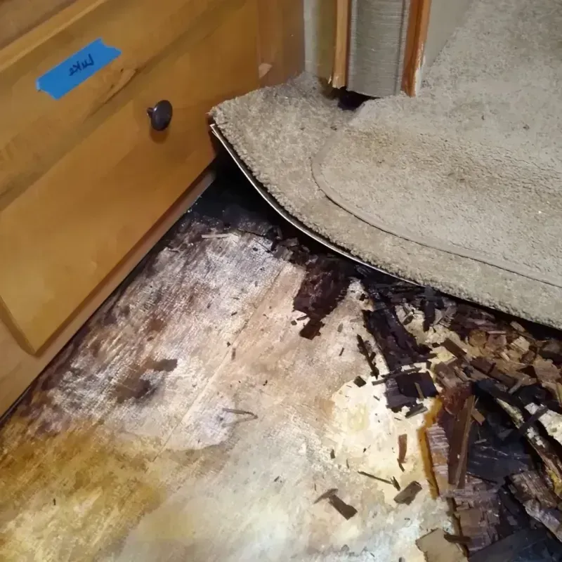 Wood Floor Water Damage in LaBarque Creek, MO